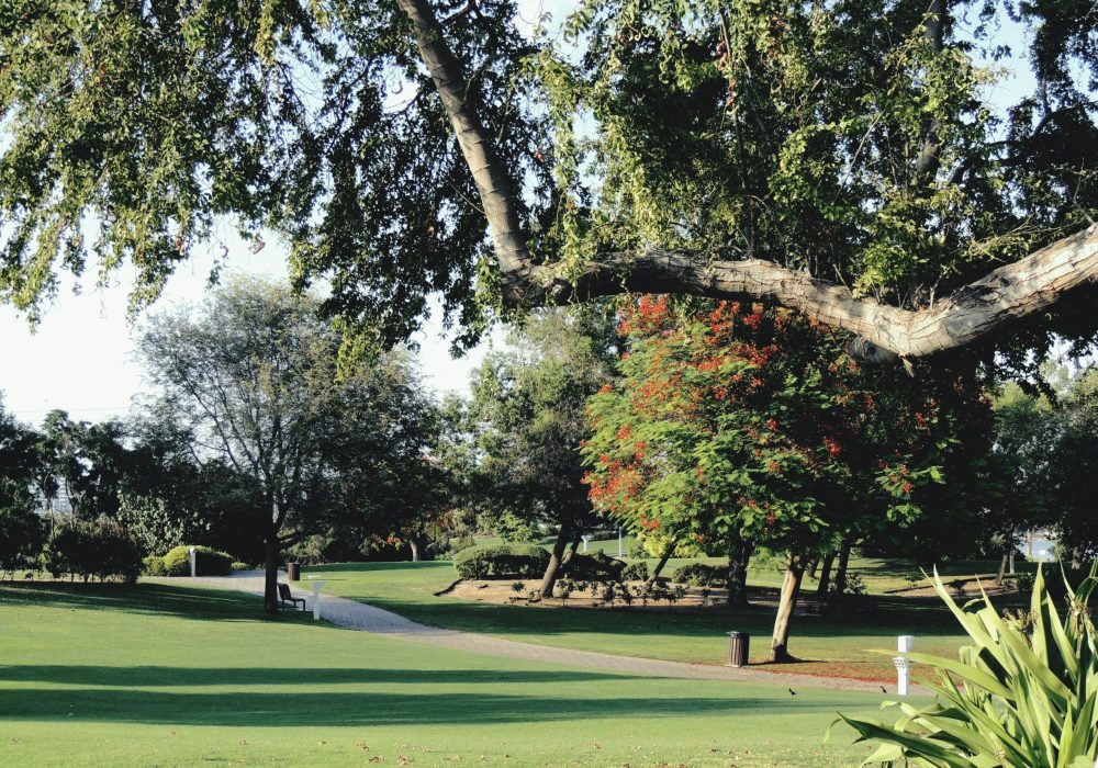 qurratul-ayin-sadia-cgr0SjX3LrU-unsplash